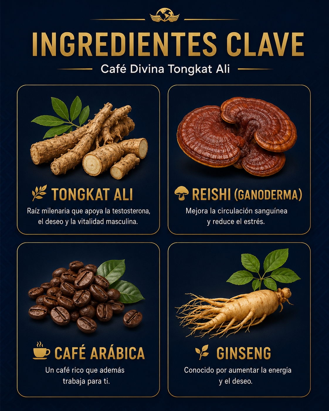 Ingredientes Café Tongkat Ali